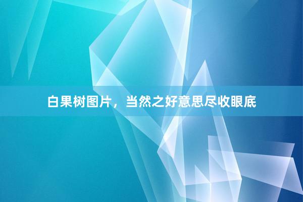 白果树图片，当然之好意思尽收眼底