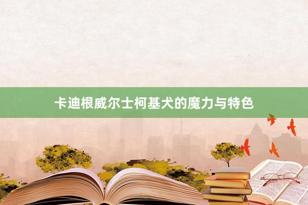 卡迪根威尔士柯基犬的魔力与特色