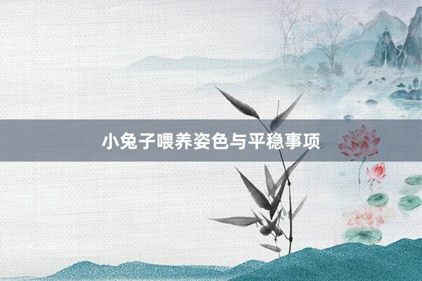 小兔子喂养姿色与平稳事项