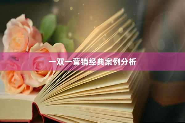 一双一营销经典案例分析